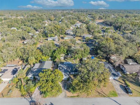 A home in EUSTIS