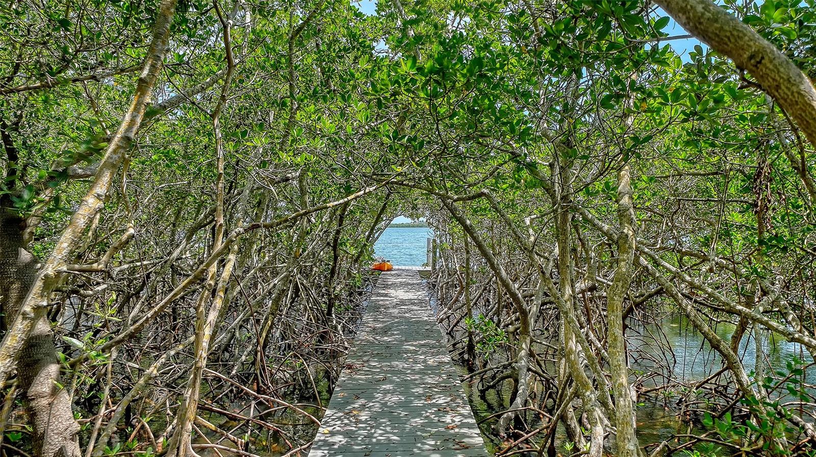 CASEY KEY - Residential