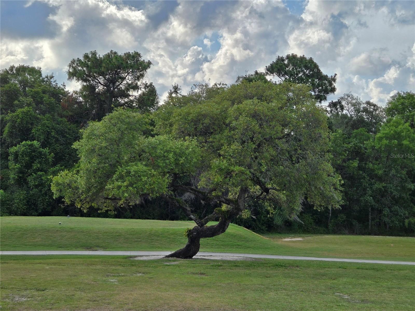 THE FAIRWAYS AT TWISTED OAKS - Residential