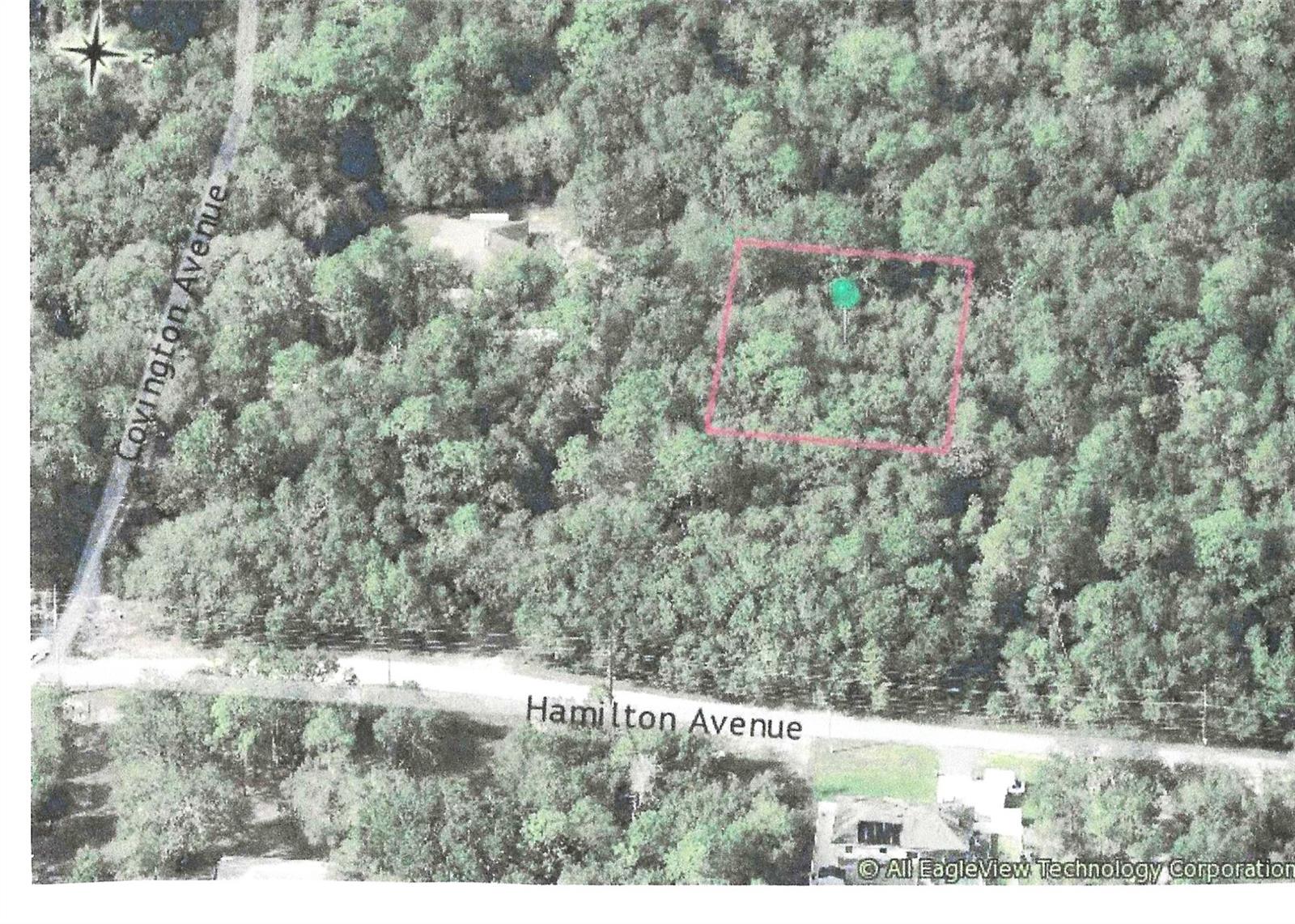 GET READY TO BUILD YOUR DREAM HOME! High and Dry, 1/2 acre, with perfect dimensions and an access road from Hamilton Ave, of like properties and single-family homes. Zoning allows for personal farms.