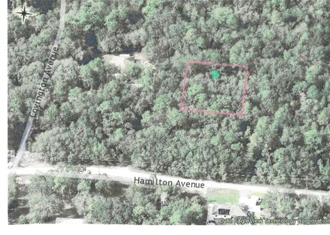 NO STREET ORANGE CITY FL 32763
