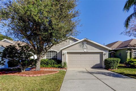 A home in LAND O LAKES