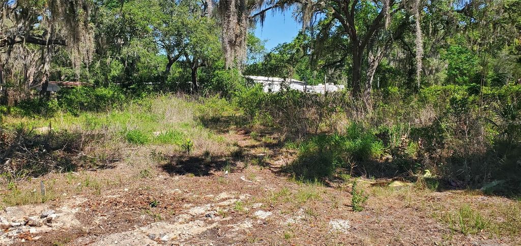 Photo of 11939 Bemont Avenue, New Port Richey, FL 34654 (MLS # W7885817)