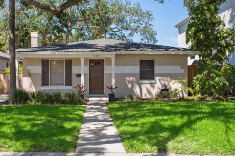 610 LUZON AVENUE TAMPA FL 33606