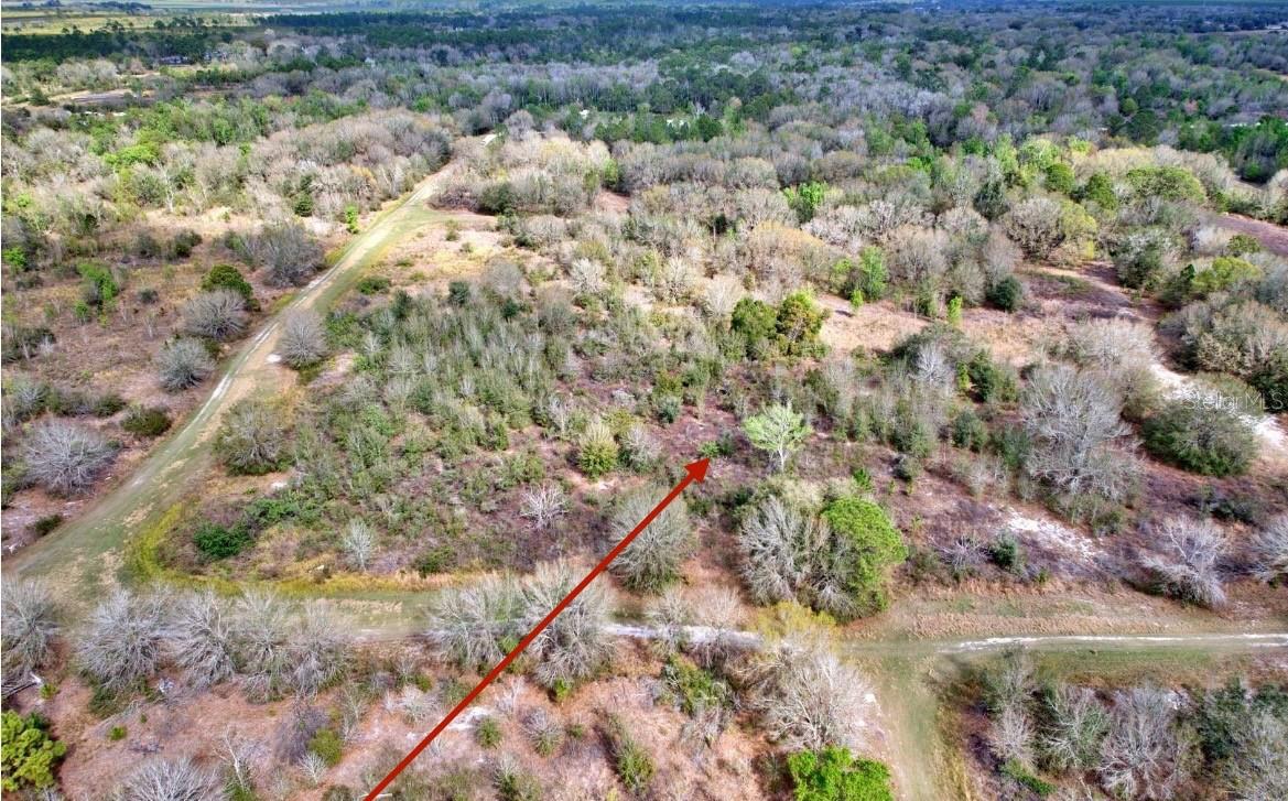 AVON PARK ESTATE - Land