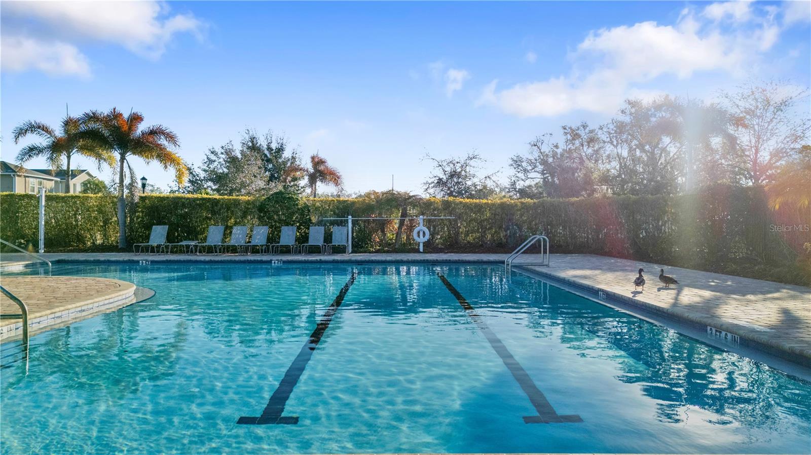 NORTHGATE PH 1 - Residential