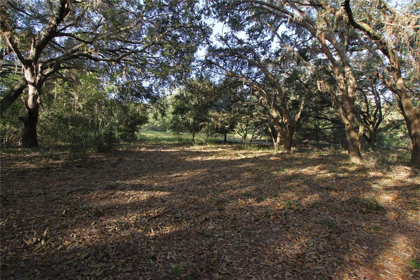 0 PATRICIA DRIVE
