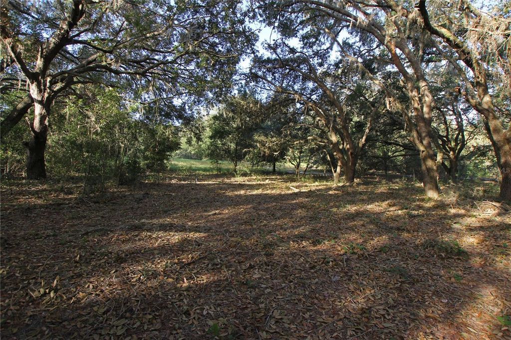 Photo of 0 Patricia Drive, Bartow, FL 33830 (MLS # L4948414)