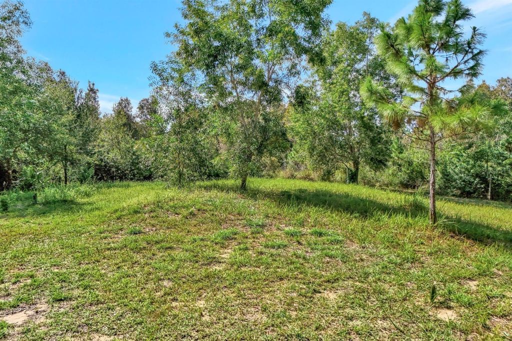 Photo of 41601 Little Farm Road, Punta Gorda, FL 33982 (MLS # TB8398978)