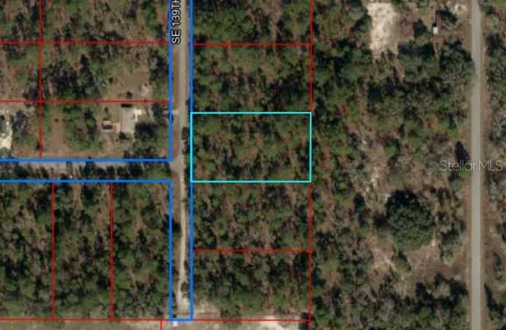 1.04 acre vacant lot in Rainbow Lakes Estates. No HOA! Not in a flood zone. Quiet community but close to all amenities. Looking for a great lot to build your dream home in Levy County.