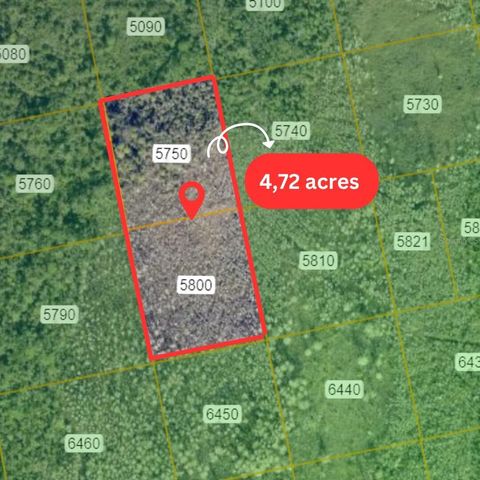 0 STATE HWY 9 OAK HILL FL 32759