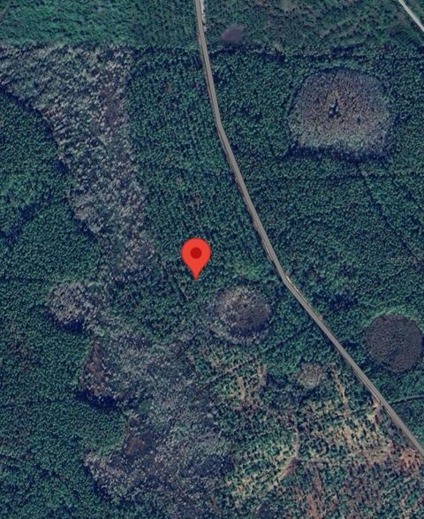 0 STATE HWY 9 OAK HILL FL 32759