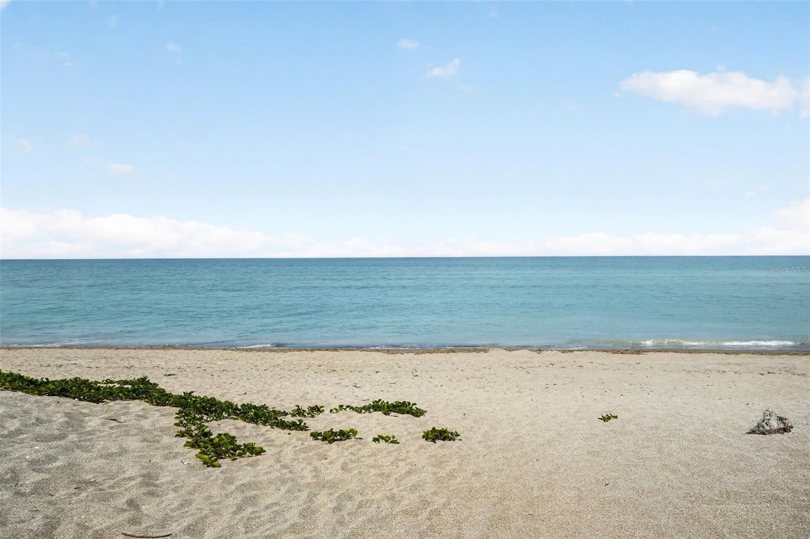 VENICE SANDS - Residential