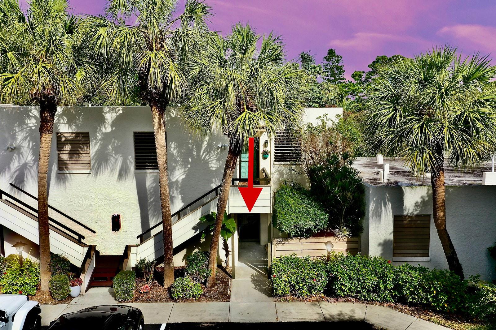 377 SPRINGDALE DRIVE
