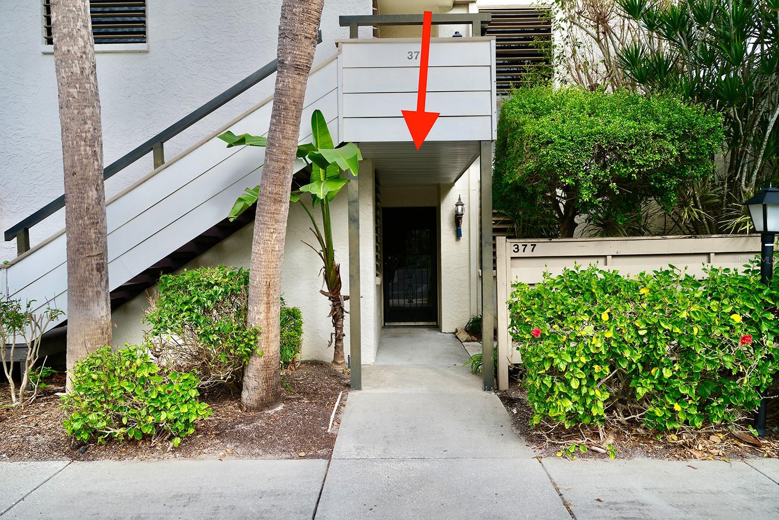 377 SPRINGDALE DRIVE