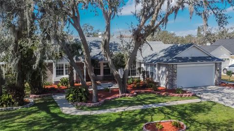 A home in PLANT CITY