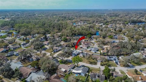 A home in PLANT CITY