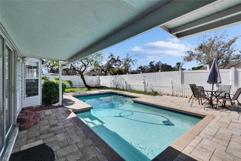 A home in PLANT CITY