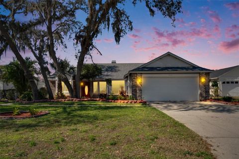 A home in PLANT CITY