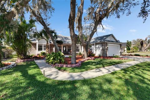 A home in PLANT CITY