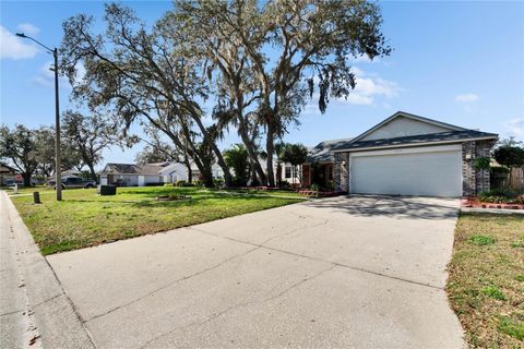 A home in PLANT CITY