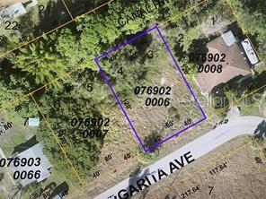 The seller is also selling a lot next to it (LOT #5 and LOT #6 for additional cost). SELLER HAS NEW BUILDABLE SURVEY DATED 06/01/2021 for both lots.
This Residential Lot sits in a quiet neighborhood in Warm Mineral Springs NOT IN A FLOOD ZONE or HOA. Excellent location, peaceful neighborhood, minutes from I-75 & Tamiami Trail! Convenient to Florida’s best beaches, golfing, public boat ramps, marinas, shopping, physicians, water park, Atlanta Braves Practice Stadium, Tampa Bay Rays Practice Stadium, Historic Riverfront Downtown Punta Gorda & Fishermen’s Village, and a short drive to Venice, Sarasota and Boca Grande, etc. All information deemed reliable, but not guaranteed; buyer to confirm all.