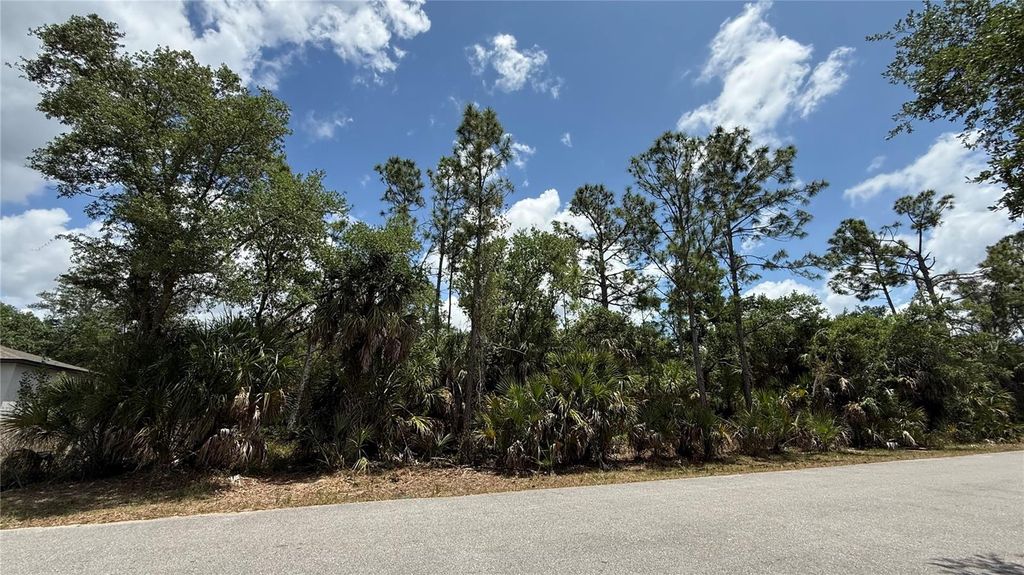 Photo of 376 Munoz Street, Port Charlotte, FL 33953 (MLS # TB8504250)