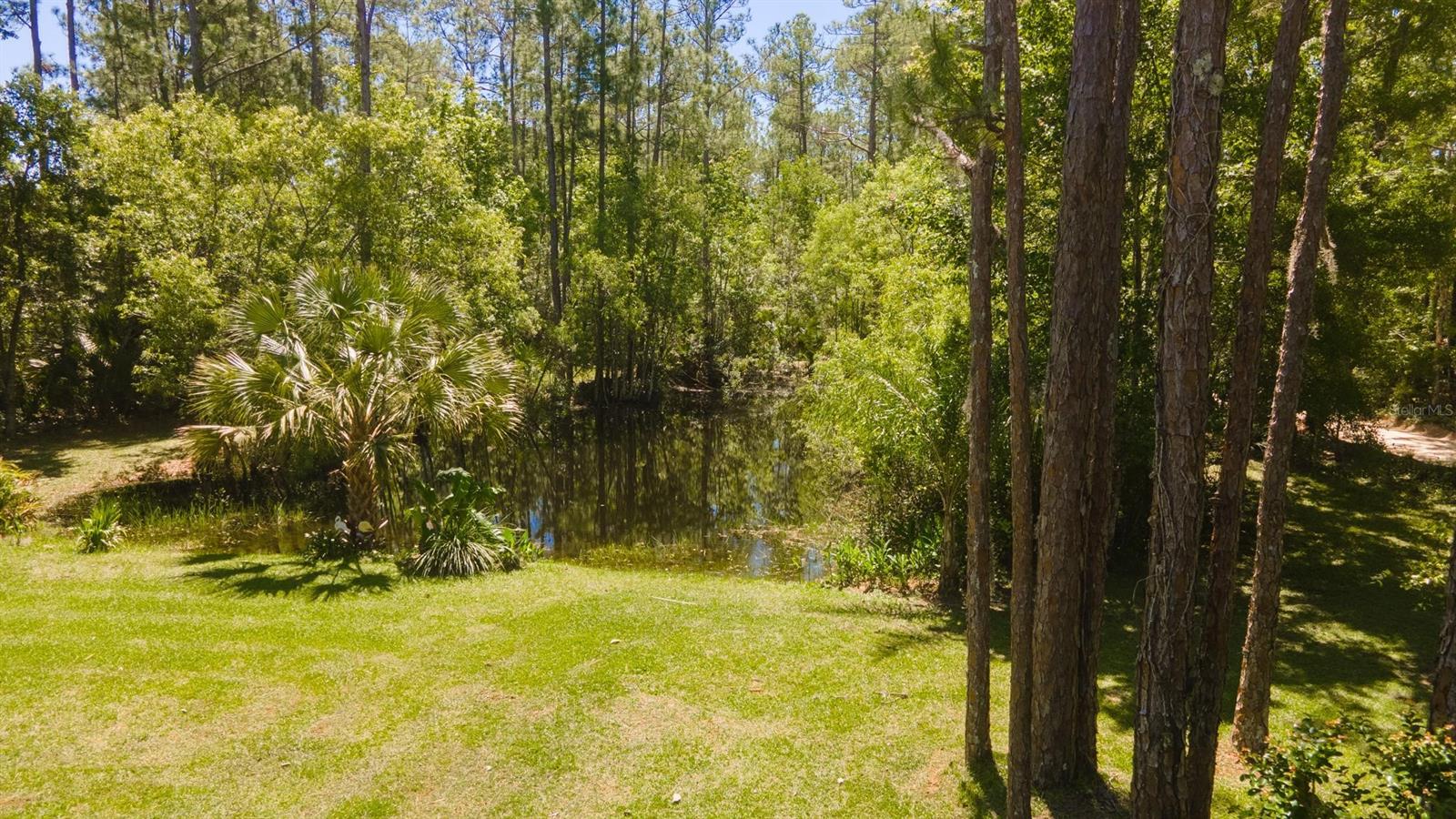 Howe & Curriers Allotment - Residential