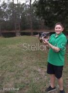 Howe & Curriers Allotment - Residential