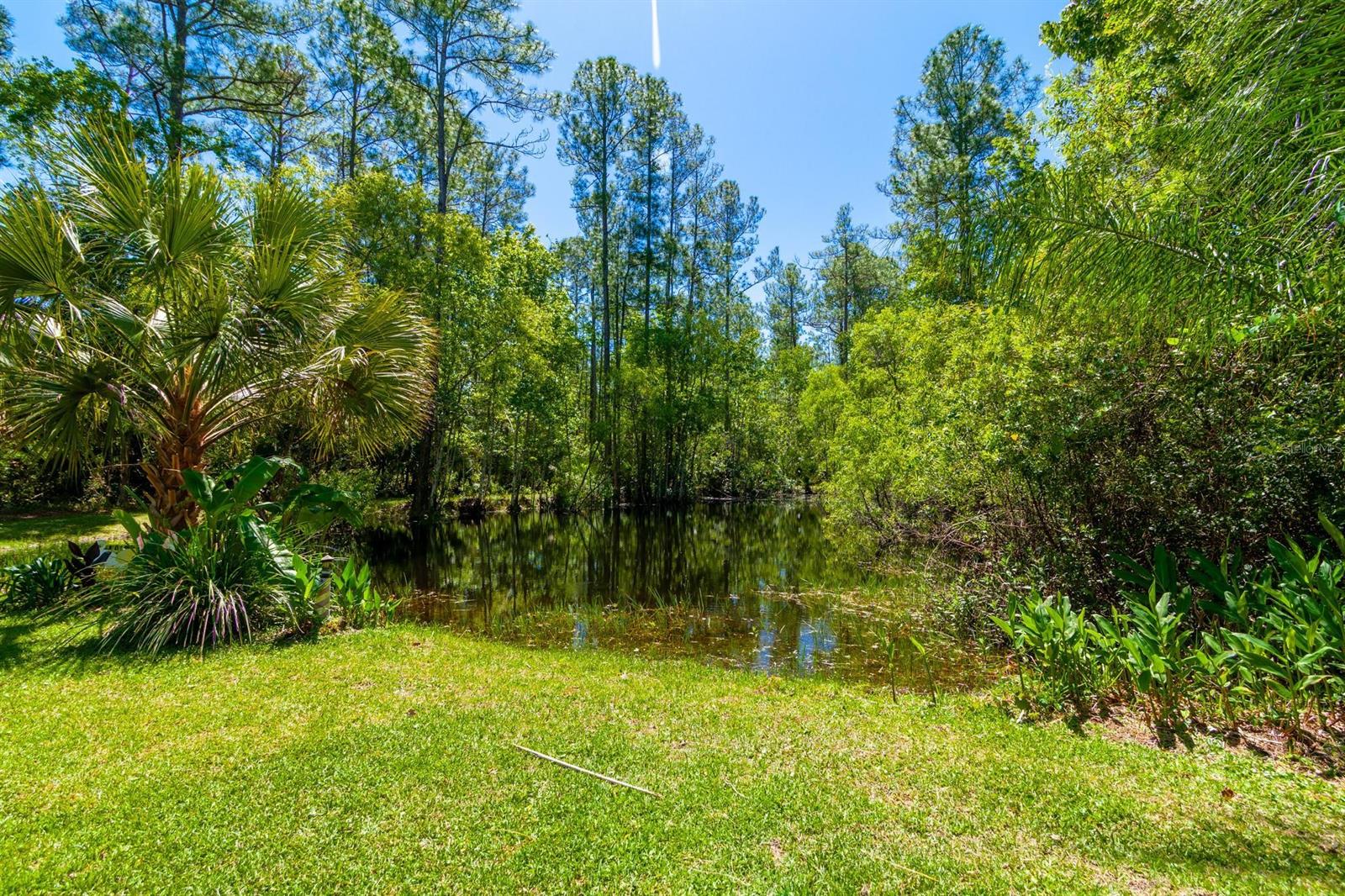 Howe & Curriers Allotment - Residential