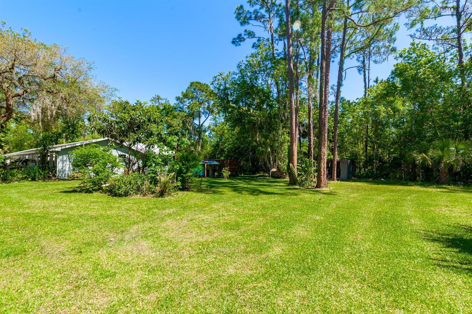 Howe & Curriers Allotment - Residential