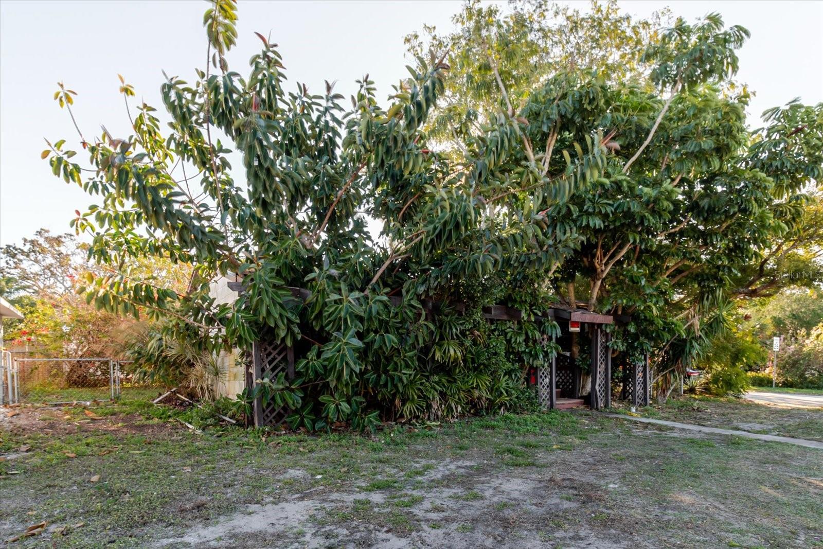 PALM HARBOR ESTATES - Residential