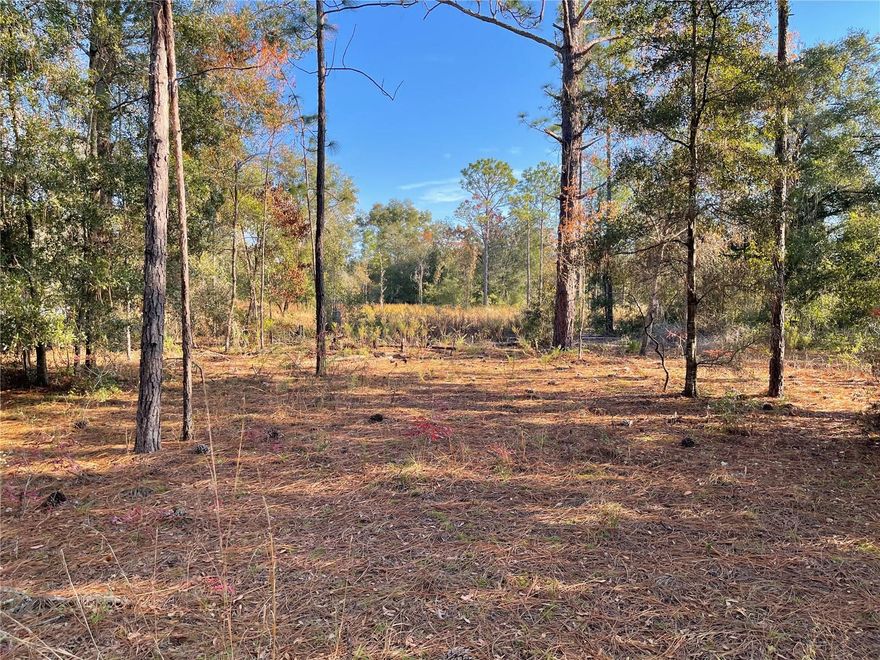 Beautiful 1.25 acre lot in Bronson that is ready for your manufactured home or your site built home. On a paved road (NE 80th Street). Property survey available. NO HOA fees. Just a few miles south west of Gainesville and the university of Florida. Nice, level lot with mostly pine trees.