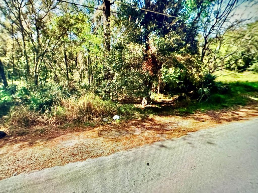 Photo of 1700 Old Apopka Road, Apopka, FL 32703 (MLS # O6355140)