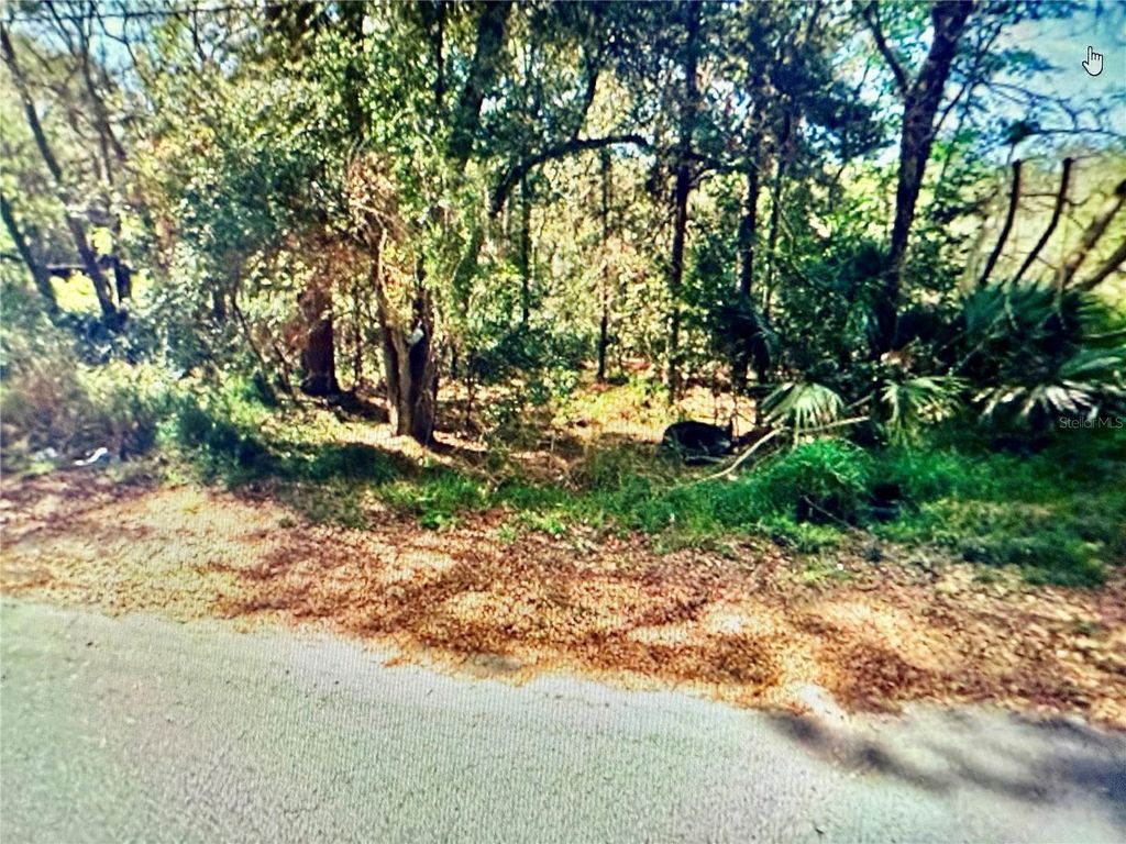 Photo of 1700 Old Apopka Road, Apopka, FL 32703 (MLS # O6355140)