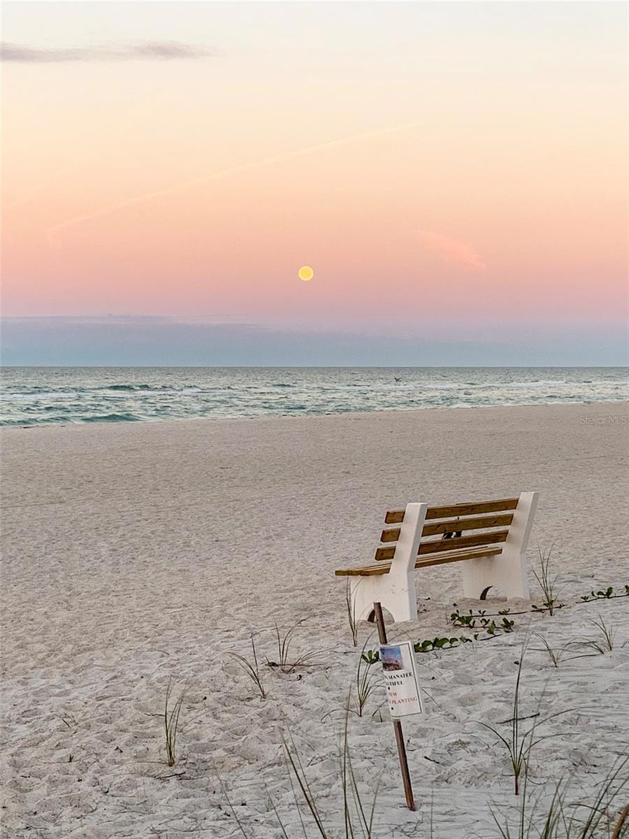 ILEXHURST - Residential