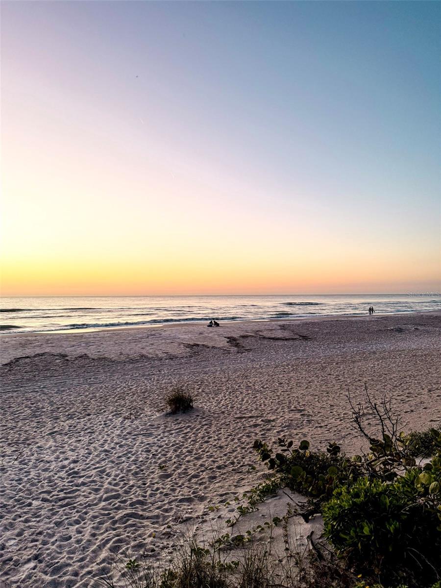 ILEXHURST - Residential