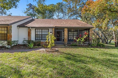 Photo of 2129 Point O Woods Court, Spring Hill, FL 34606 (MLS # TB8458699)