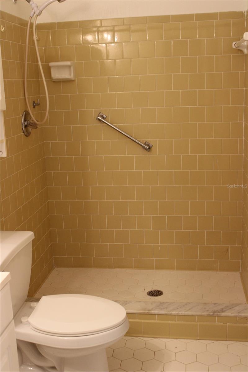 LAKE WALES VILLAGE CONDO - Residential