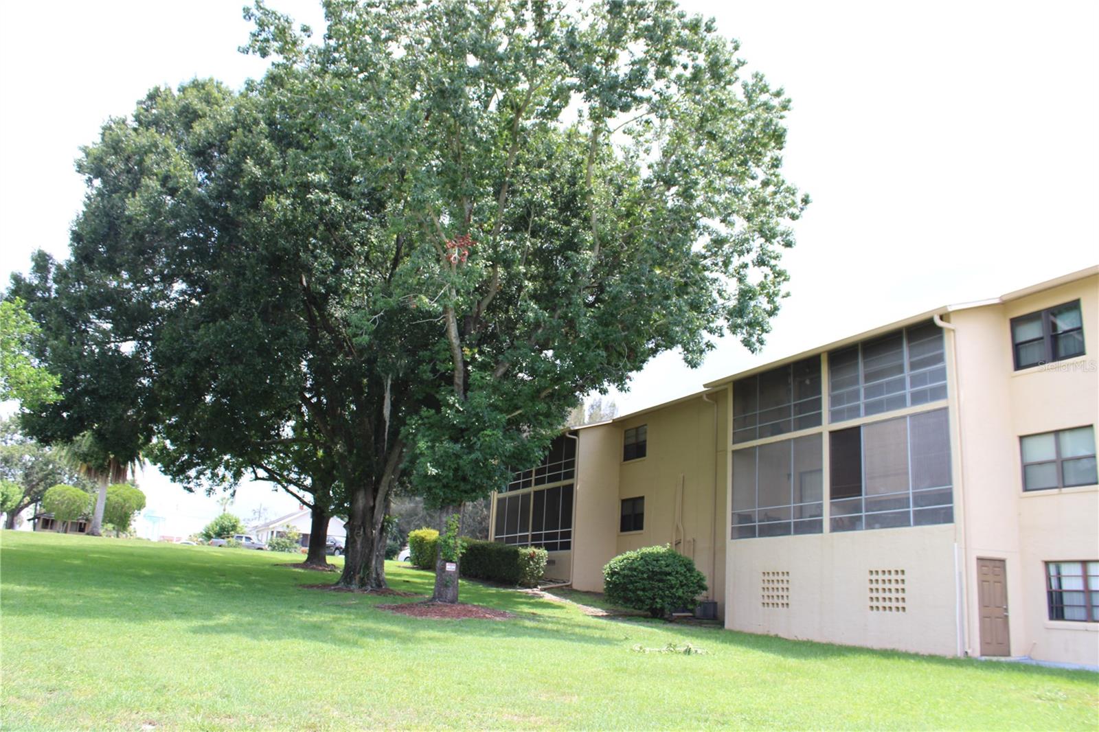 LAKE WALES VILLAGE CONDO - Residential