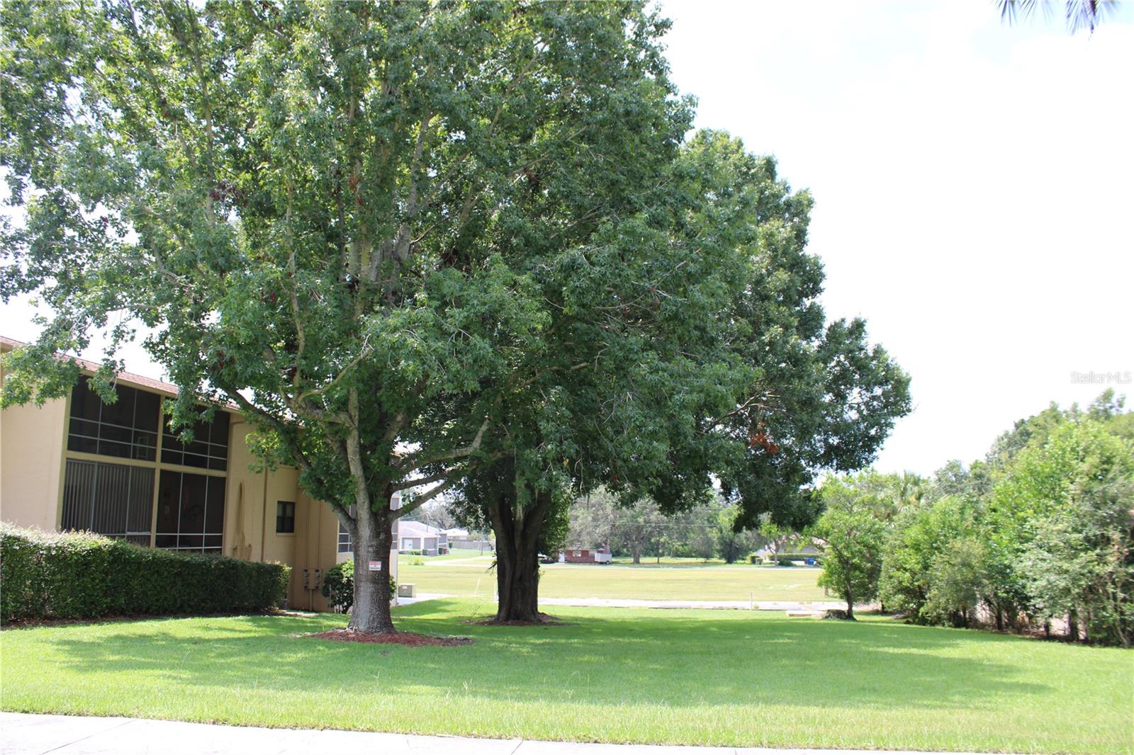 LAKE WALES VILLAGE CONDO - Residential