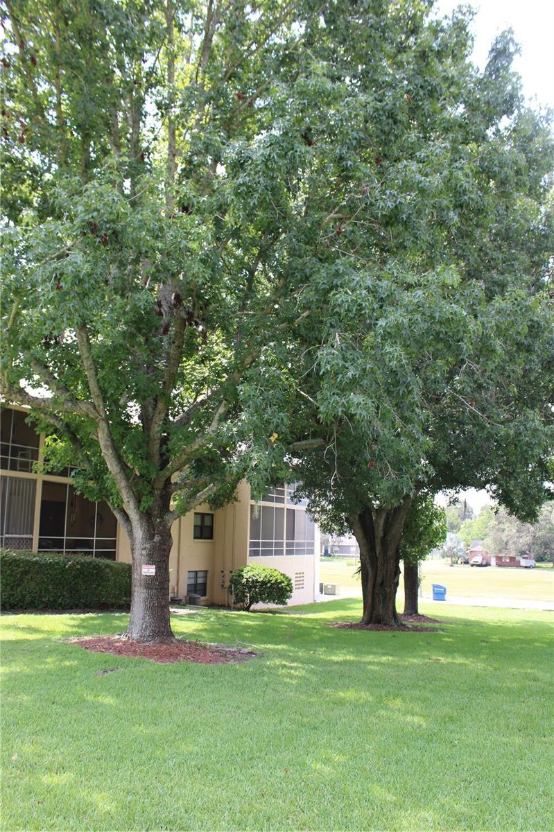 LAKE WALES VILLAGE CONDO - Residential
