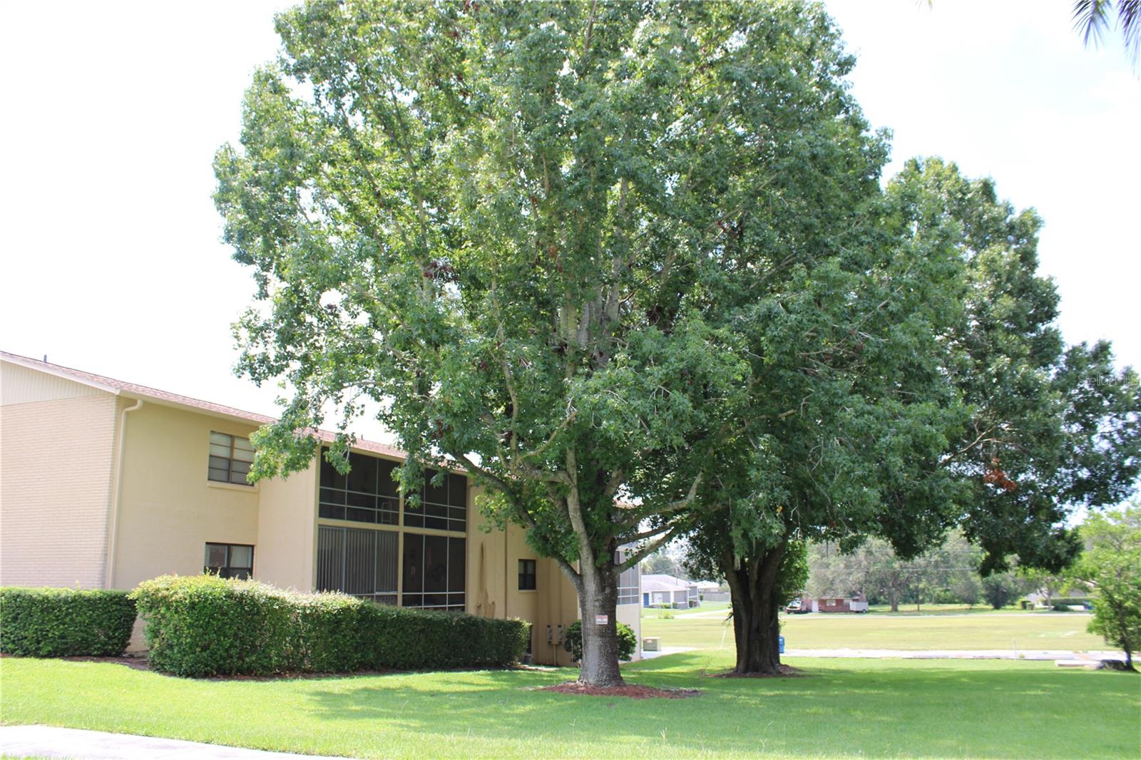 LAKE WALES VILLAGE CONDO - Residential
