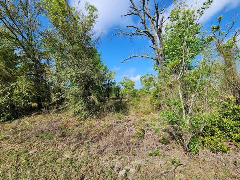 OXALIS CT. DUNNELLON FL 34431