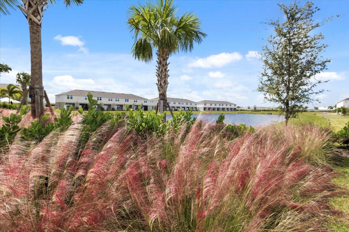 TOWNHOMES AT AZARIO - Residential