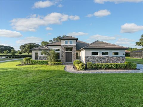 25859 CROSSINGS BLUFF LANE SORRENTO FL 32776