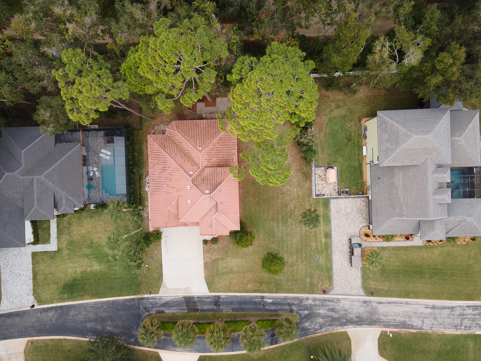 RIVER OAKS IN THE HAMMOCK - Residential