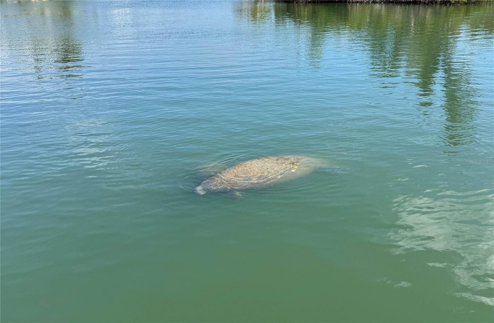 PRESERVE LITTLE GASPARILLA - Land