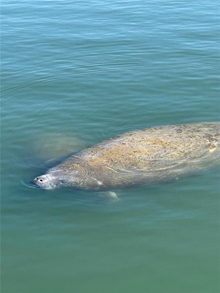 PRESERVE LITTLE GASPARILLA - Land