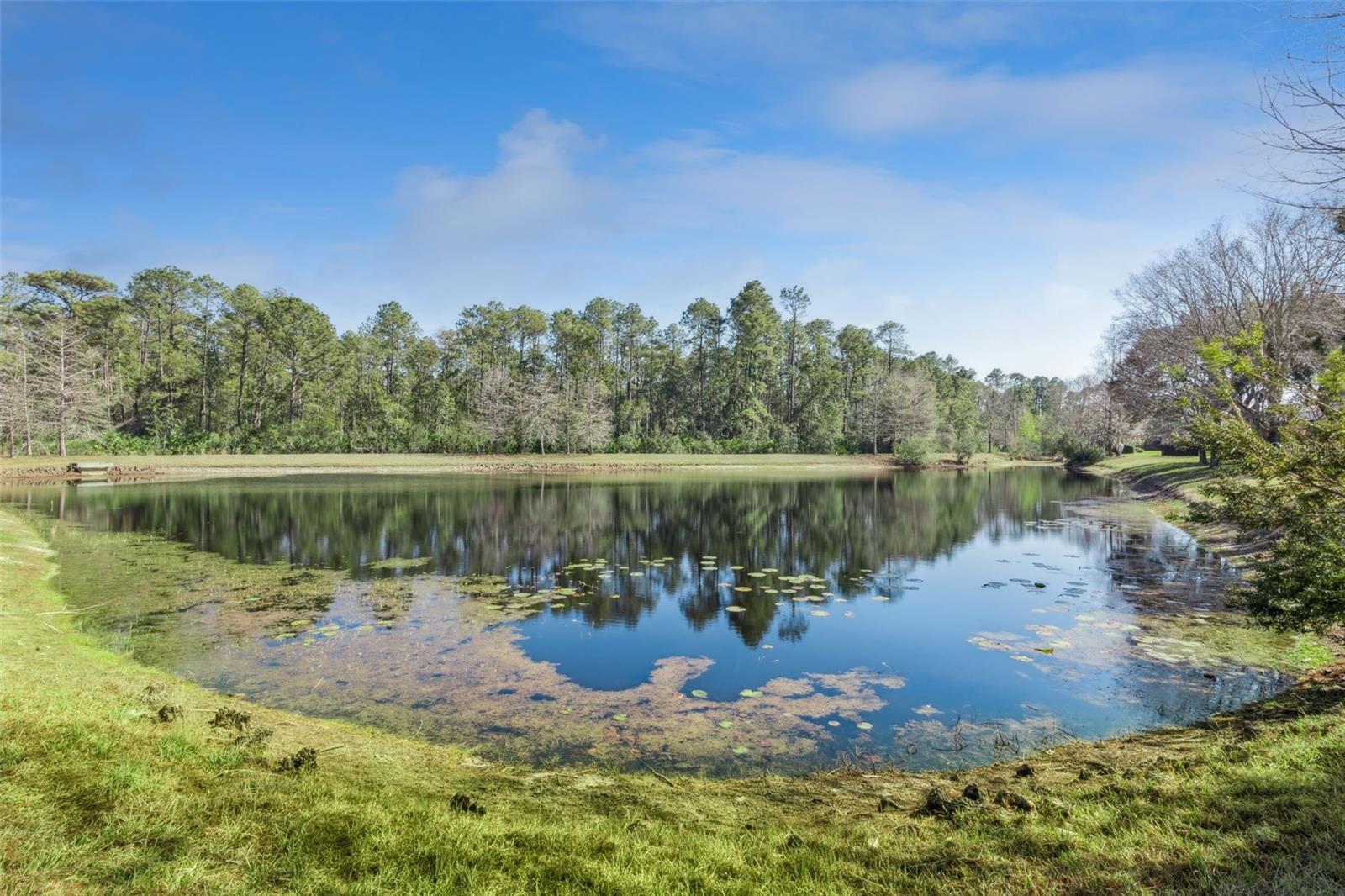 VICTORIA GARDENS PHASE 7 - Residential